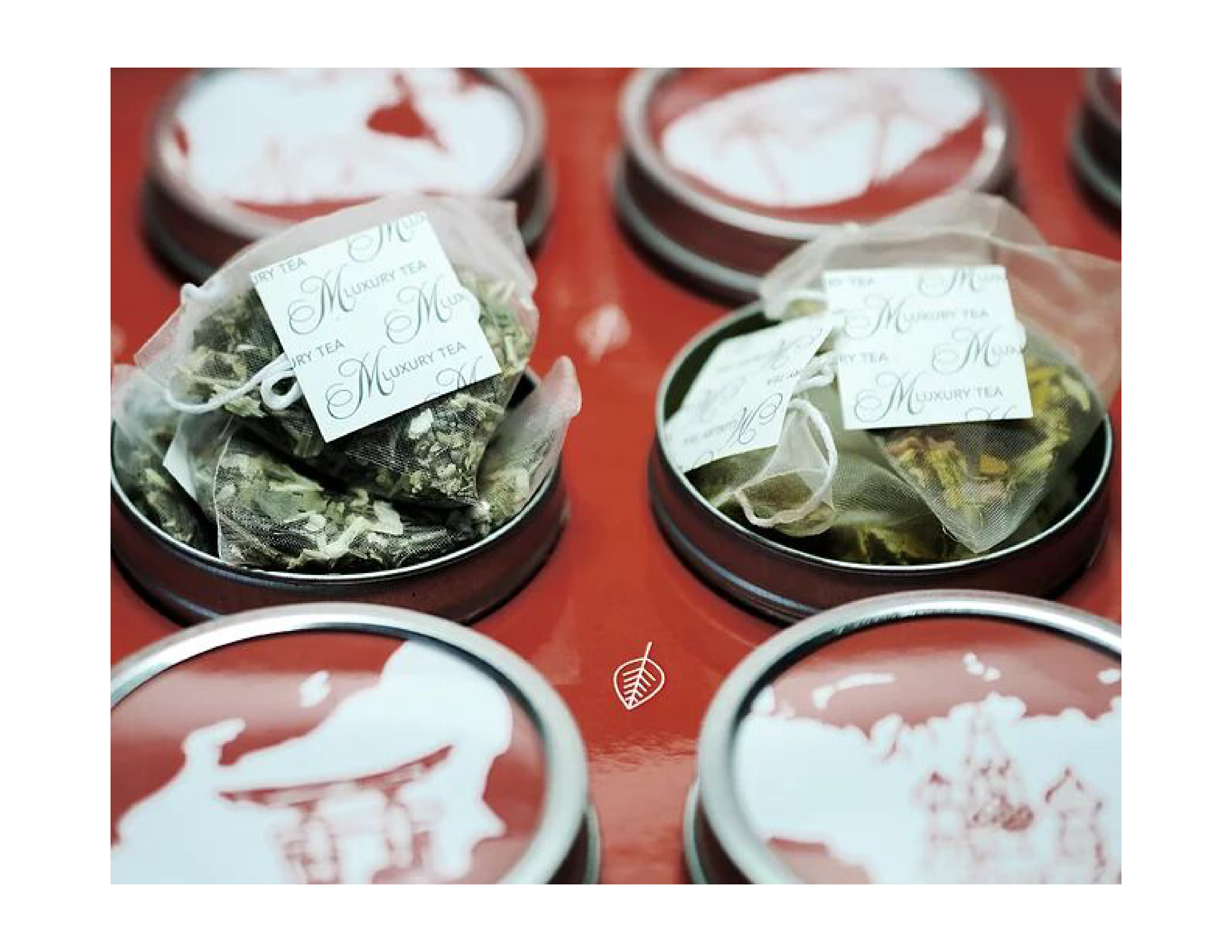 EmpathTea Luxury Tin Box Set (12 flavours)